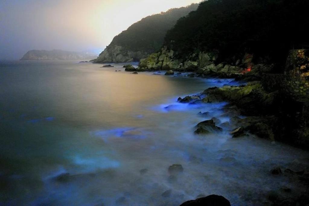 依金那海景民宿 Insel Insel Nangan Exterior foto